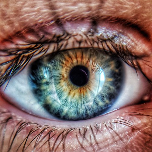 Alles fängt bei deinen Augen an - Bookhoover®
